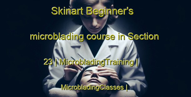 Skinart Beginner's microblading course in Section 23 | MicrobladingTraining | MicrobladingClasses | SkinartTraining-Canada